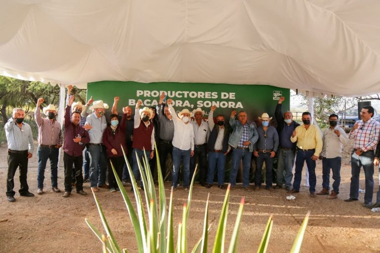 Impulsarán sembrando vida para Sonora a fin de reforestar agave para Bacanora