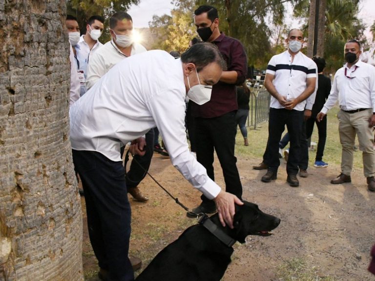 Veterinarias públicas para atender animales de la calle, propone Alfonso Durazo