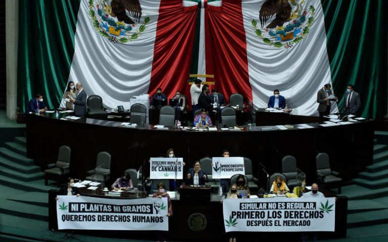 Aprueban diputados uso lúdico de la mariguana en México