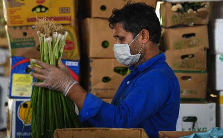 Recupera México 1 millón de empleos en febrero: INEGI