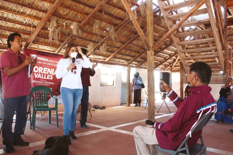 Reivindicar a los pueblos originarios, compromiso de la 4T: Lorenia Valles
