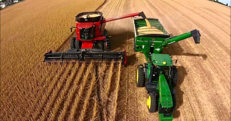 Crecieron en 2021 las exportaciones agropecuarias y pesqueras un 15%