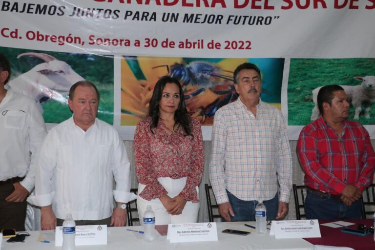 Promueven recuperación plena del sector ganadero en Cajeme y el sur de Sonora