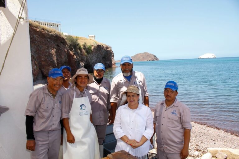 <strong>Atestigua secretaria de Turismo cosecha de perlas del Mar de Cortés</strong>