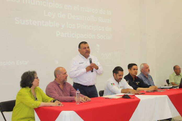 Alamos 5