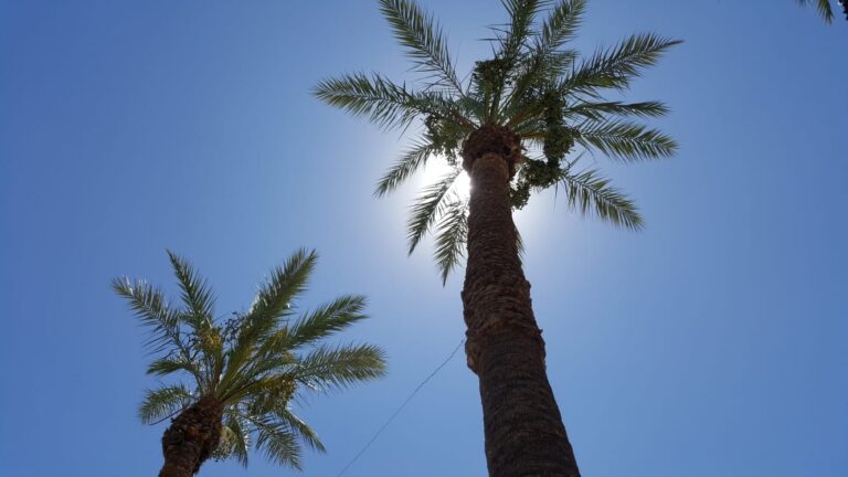 Advierten de peligro por altas temperaturas en región de SLRC