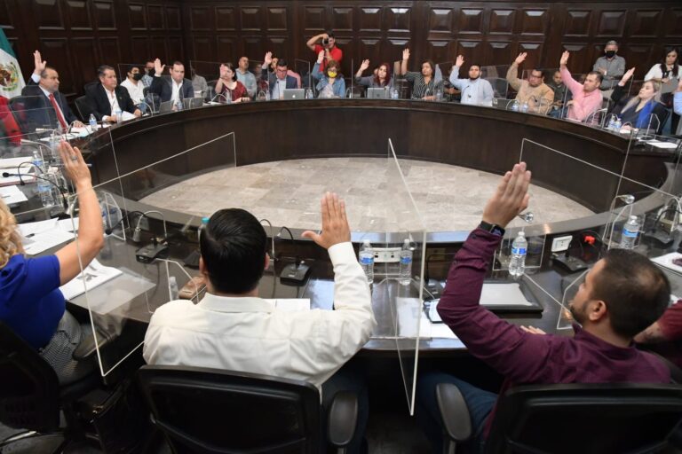 Aprueba Cabildo creación del Instituto Municipal de Protección y Bienestar Animal