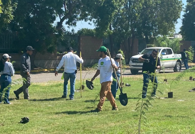Contribuye UTS a la reforestación y combate del calentamiento global
