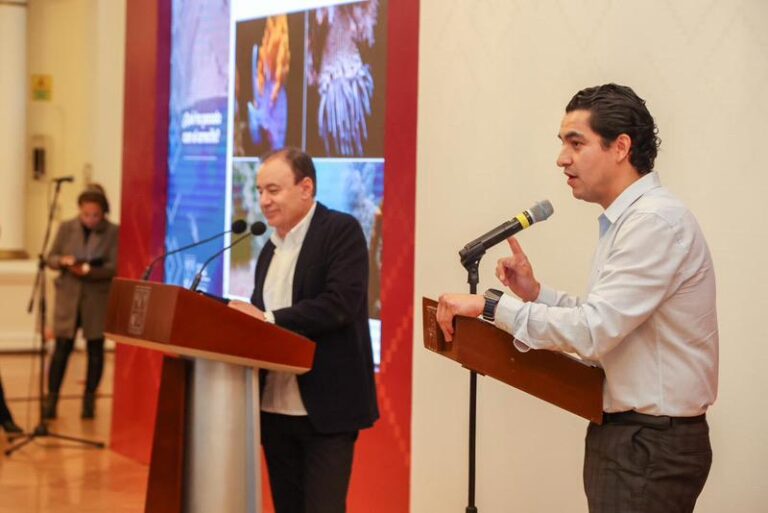 Sistema Arrecifal Artificial Sonorense será hábitat de flora y fauna marina