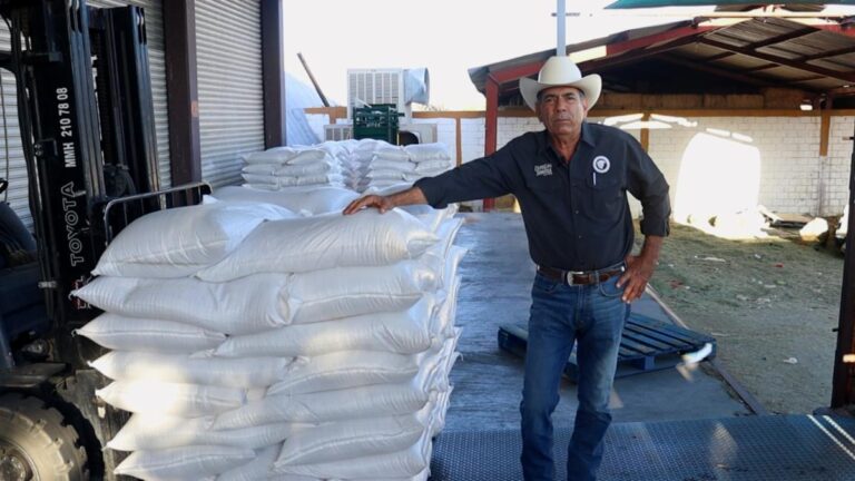 Cerca de 300 toneladas de alimento proteínico han sido entregadas a pequeños ganaderos