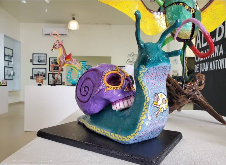 Arte, historia y cultura: invita Museo Regional a visitar exposiciones
