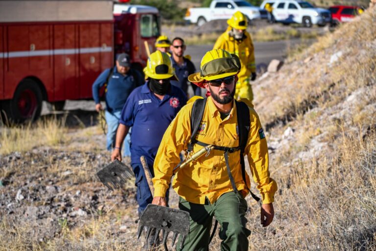 Atienden brigadas el incendio forestal en la carretera a Janos en el km 98 al 108