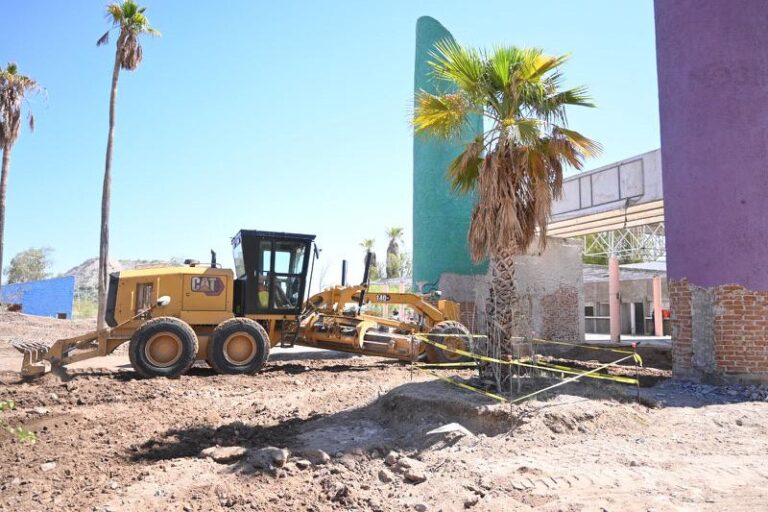 Gobierno de Sonora y grupos ambientalistas trabajan de manera coordinada en la rehabilitación del parque La Sauceda