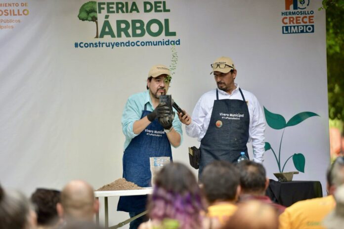 feria del arbol 2