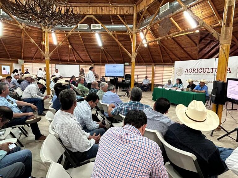 Trabaja Gobierno de Sonora en reconversión de cultivo y apoyos para productores de Sonora