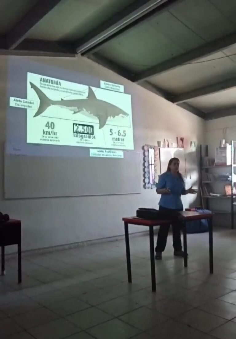 Capacita Sagarhpa a pescadores y buzos en prevención de incidentes con tiburones