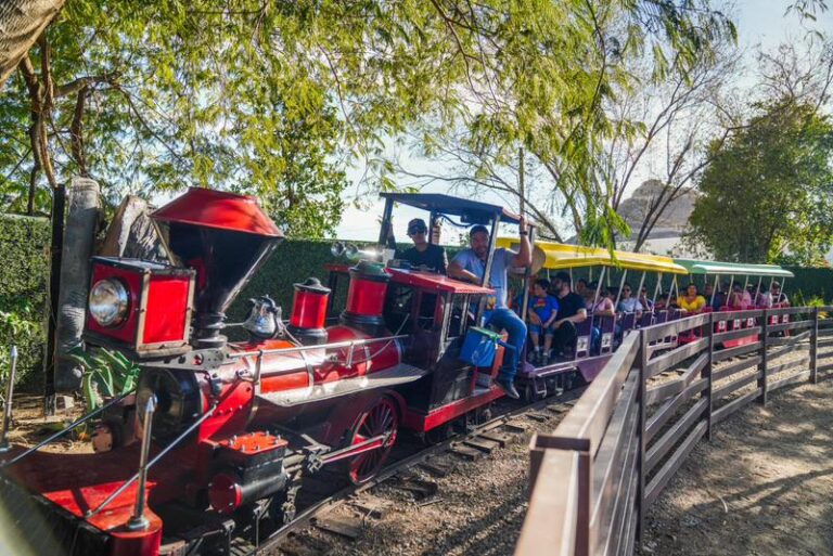 Invita Gobierno de Sonora a disfrutar el verano en el Parque Infantil