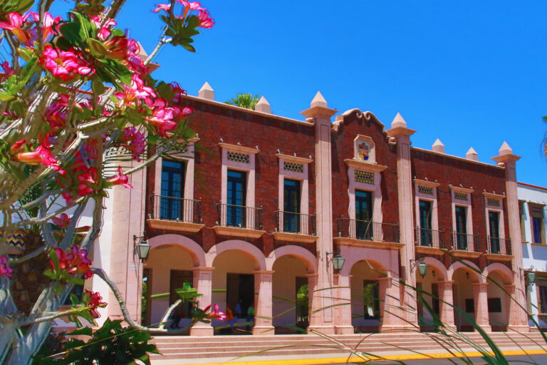 Iniciará Unison el semestre 2024-2 con más de 35 mil 500 alumnos; se emiten recomendaciones viales