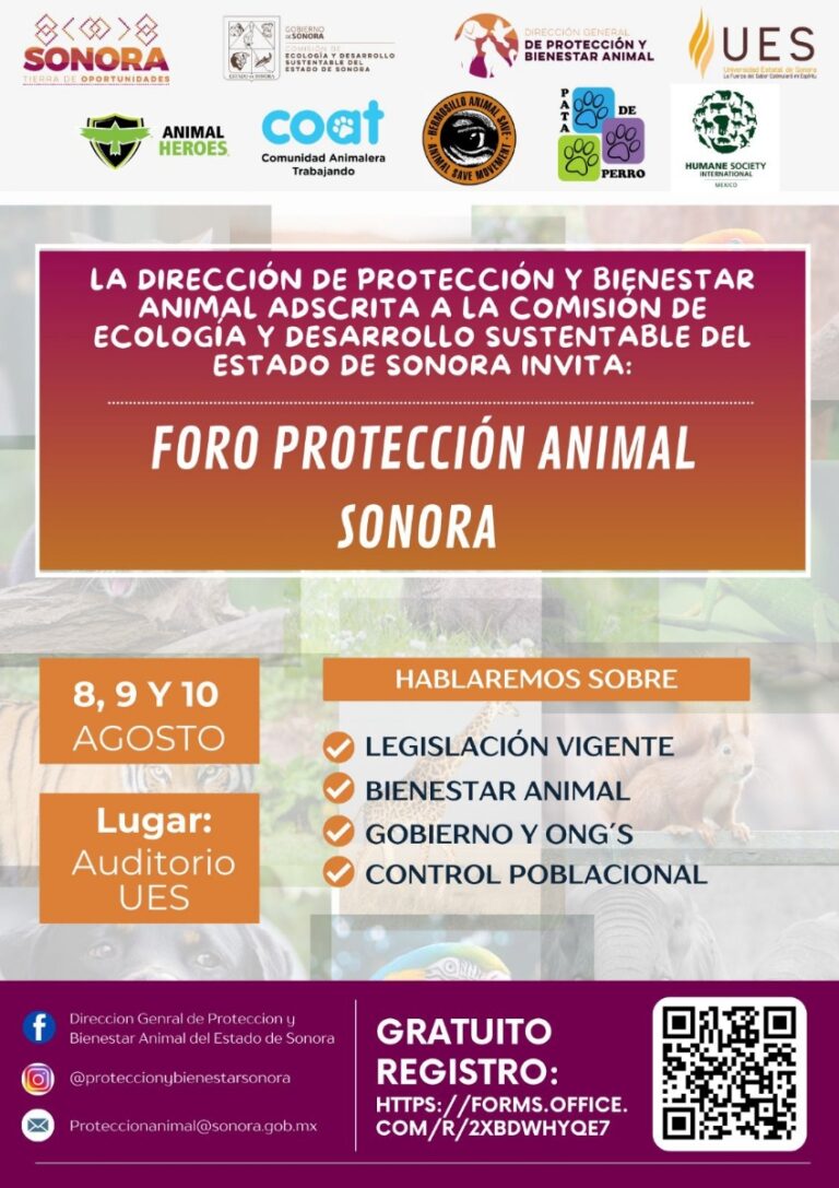 Anuncia el Gobierno de Sonora Primer Foro de Protección Animal