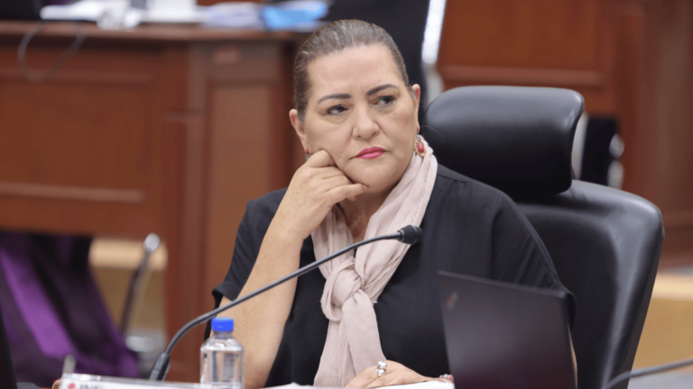 “Pluris” se asignarán de acuerdo con la Ley: Guadalupe Taddei