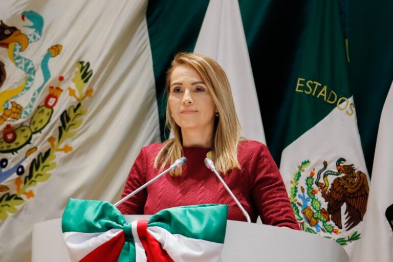 Importante adicionar principios de mínima intervención y no revictimización de menores de edad en juicios: Marcela «Maval» Valenzuela