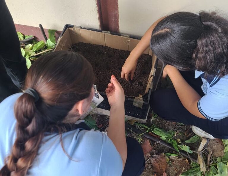 Estudiantes normalistas cultivarán alimentos mediante sistema de agricultura ecológica