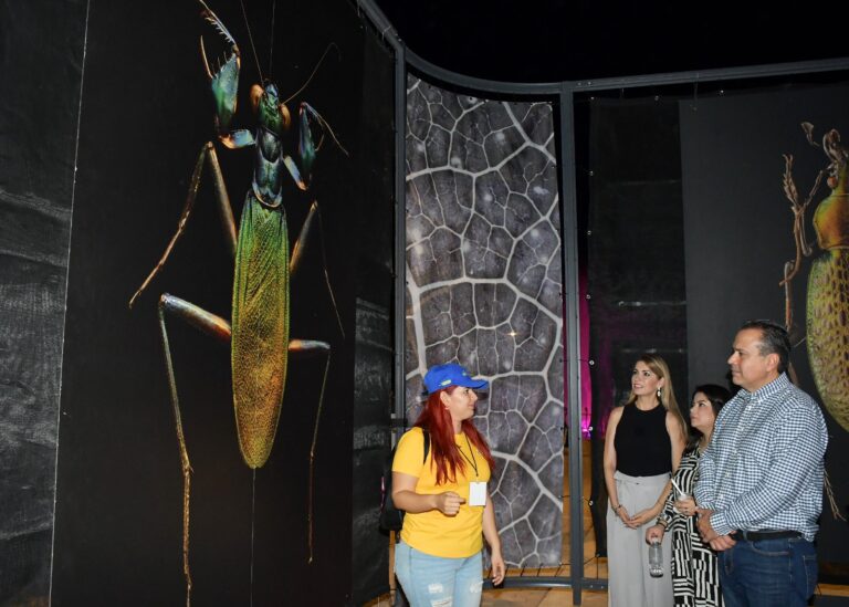 Inauguran Gobierno de Hermosillo y Fundación Coppel la exposición itinerante “INSECTUS” en el Parque Madero