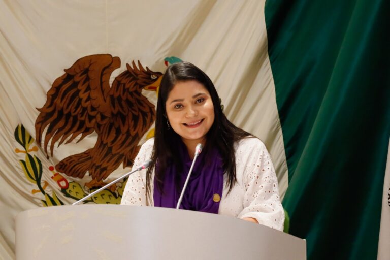Posicionamiento de la diputada Deni Gastélum por el Día Internacional de la Ciudadanía de las Mujeres Mexicanas