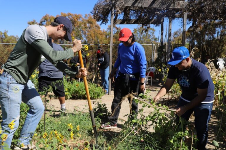 Futuros docentes se capacitan para crear huertos escolares sustentables
