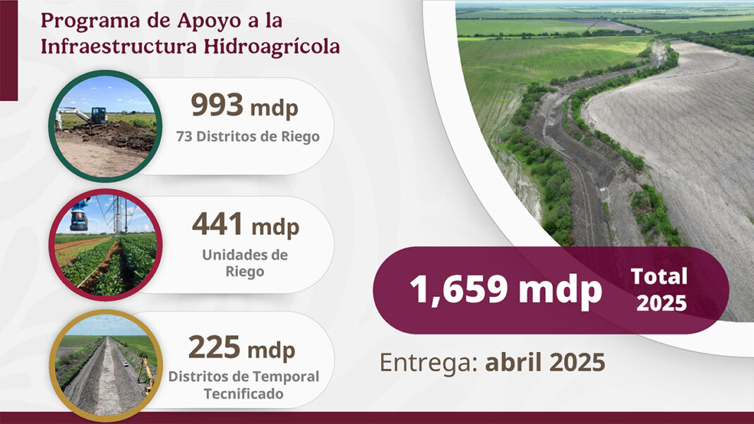 TECNIFICACION_260325_22_34