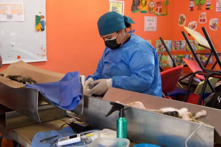 Suma Gobierno de Sonora más de 14 mil servicios brindados a través de las ferias “Sonora Atiende”
