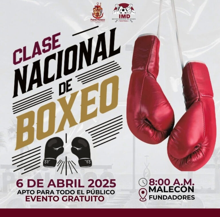 Gobierno de Sonora se suma al evento de box más grande de México: Froylán Gámez