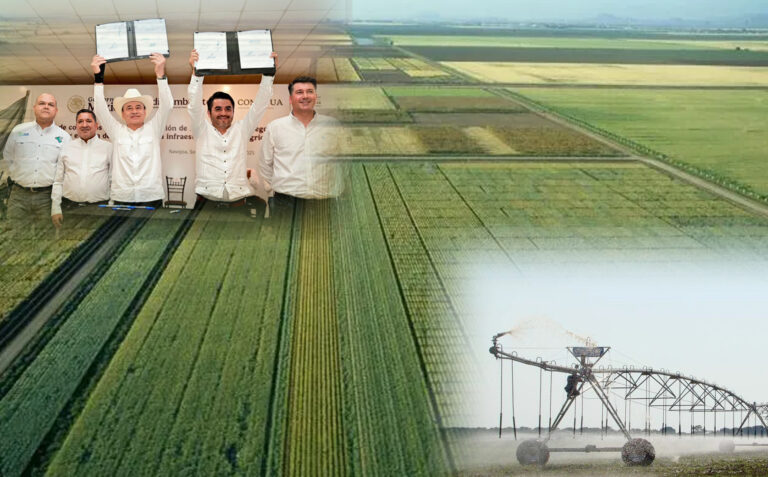 Paso a pasito, Sonora recupera liderazgo agrícola y alimentario