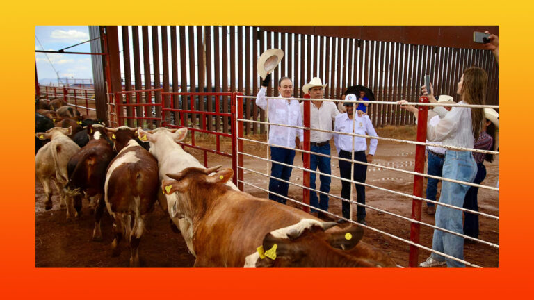 Ganadería de Sonora pone la muestra