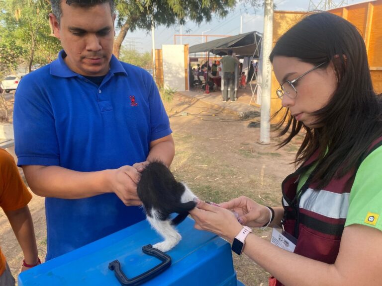 Gobierno de Sonora intensifica acciones territoriales contra la rickettsiosis