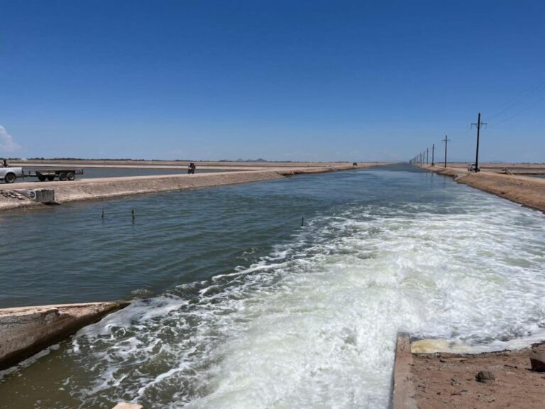 Gobierno de Sonora impulsa reactivación del Parque Acuícola “El Siaric” con electrificación y modernización de infraestructura