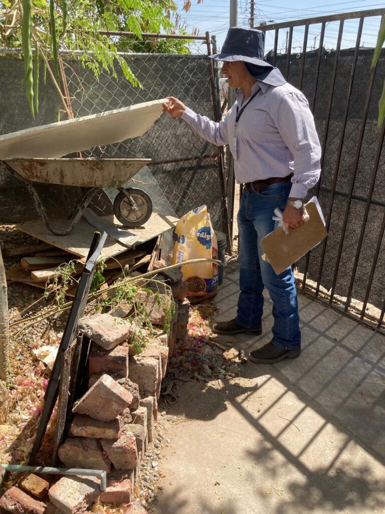 Gobierno de Sonora refuerza las acciones contra el dengue en todo el estado