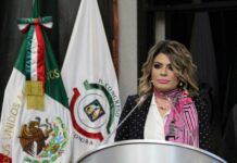 Tolerancia cero a deudores alimentarios: Alejandra López Noriega