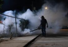 Salud Sonora fumiga más de 154 mil hectáreas contra el dengue en 283 localidades