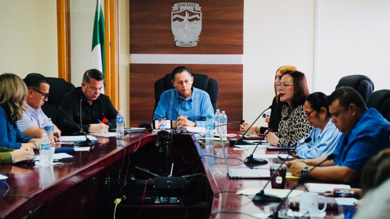 Crean por primera vez en Cabildo la Comisión de Asuntos Indígenas en SLRC