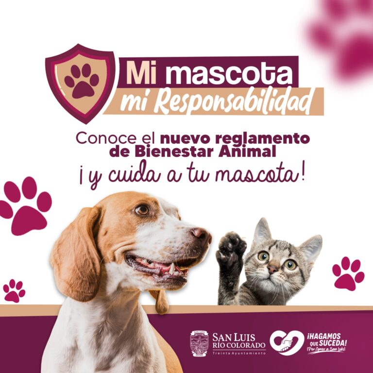 Presentan nuevo Reglamento de Bienestar Animal en San Luis Río Colorado