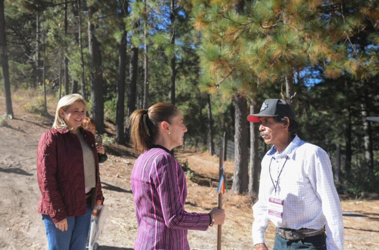 «Es justicia territorial»: Presidenta Claudia Sheinbaum encabeza entrega de más de 3 mil hectáreas de la sierra Tarahumara de Chihuahua al pueblo Ódami