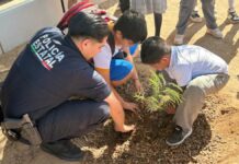 Policía Estatal de Seguridad Pública apuesta por la reforestación a través de “Sembrando Paz”