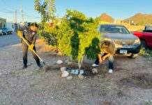 Colaboran familias de Guaymas en la generación de entornos seguros: SSPC Sonora