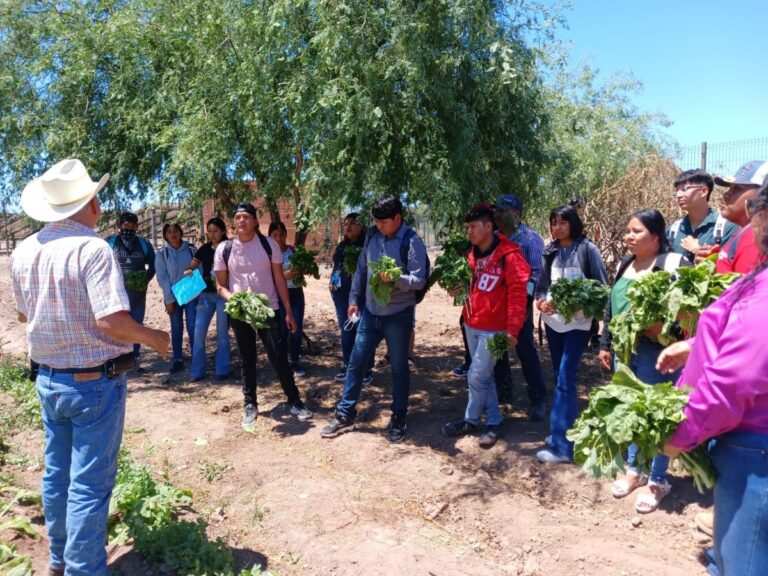 Fortalece Universidad del Pueblo Yaqui modelo productivo de soberanía alimentaria