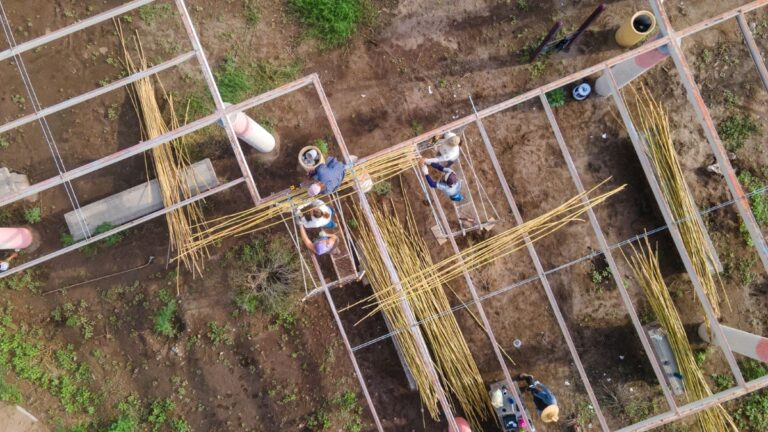 Bosque Urbano La Sauceda, ejemplo de recuperación ambiental y participación ciudadana en Sonora