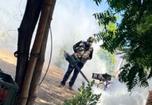 Intensifica Salud Sonora acciones contra dengue en Etchojoa, Guaymas y Empalme