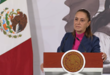 Afinan propuesta de Reforma electoral; faltan detalles de fondo, confirma la presidenta Sheinbaum