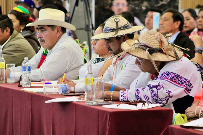 Consejo Nacional de Pueblos Indígenas propone que la Reforma Electoral garantice la representación política de los pueblos indígenas y afromexicanos