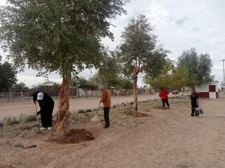 Jornada Permanente por la Paz recupera espacios públicos en San Luis Río Colorado
